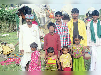 ವಂಶವೃಕ್ಷ ಹೇಳೋ ಅಲೆಮಾರಿಗಳ ಕತೆ