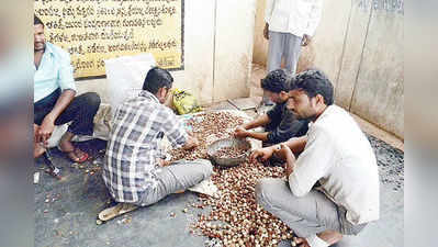 ಒಂದೊಂದು ಗ್ರಾಂ ಅಡಕೆಗೂ ಚಿನ್ನದ ಬೆಲೆ !