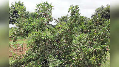 ನೀರಿನ ಬರ ಎದುರಾದರೂ ಎದೆಗುಂದಲಿಲ್ಲ