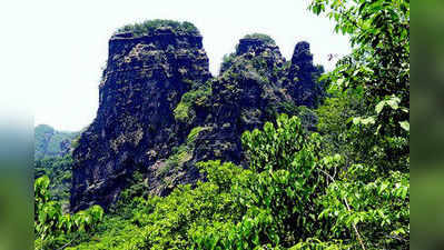 ಭವ್ಯ ವೃಕ್ಷಸಂಪತ್ತಿನ ಭೀಮಗಡ ವನ್ಯಧಾಮ