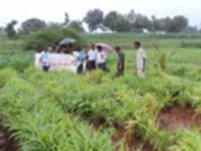 ಕೇವಲ ಓದಿನಿಂದ ಪರಿಪೂರ್ಣತೆ ಲಭಿಸದು