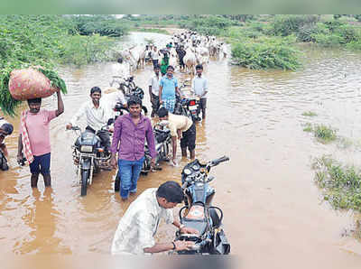 ನದಿ ಪಾತ್ರದಲ್ಲಿ ಪ್ರವಾಹ ಭೀತಿ