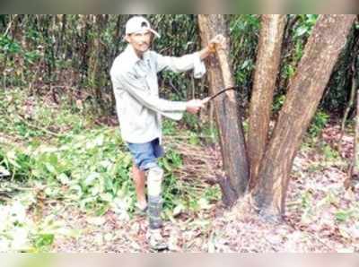 ಸಾಧಕನ ಮುಂದೆ ಶರಣಾಗಿದೆ ವೈಕಲ್ಯ