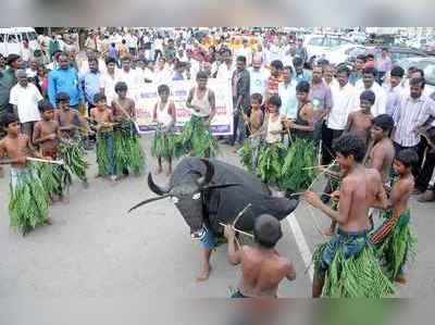 ನಾಡಿನಲ್ಲಿ ಕಾಡುಮಕ್ಕಳ ಹಾಡುಪಾಡು ..