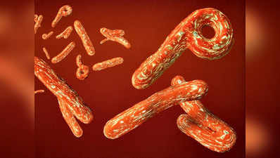 गिनी से लौटे व्यक्ति की इबोला वाइरस के लिए जांच जारी