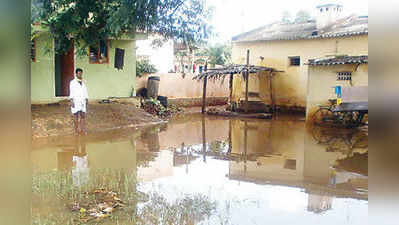 ಸುರಿದ ಮಘಾ ಮಳೆ, ಬೆಳೆಗೆ ಜೀವ