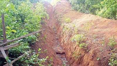 ಆನೆ ದಾಳಿ ತಡೆಗೆ ಶಾಶ್ವತ ಯೋಜನೆ ಚಿಂತನೆ