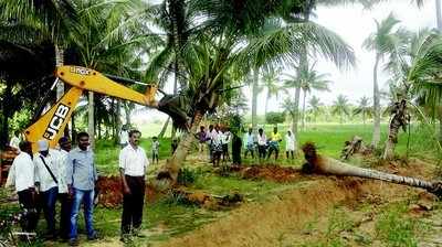 ಅಕ್ರಮ ತೆರವು ಕಾರ್ಯಾಚರಣೆ ಮುಂದುವರಿಕೆ