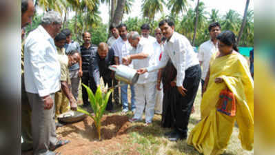 ಎಪಿಎಂಸಿಯಲ್ಲಿ ಬೆಲ್ಲ ಸಂಗ್ರಹಣ ಕೇಂದ್ರ