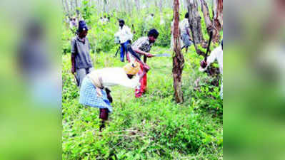 ಭೂಮಿಗಾಗಿ ಗಿಡಮರ ಕಡಿದು ಪ್ರತಿಭಟನೆ