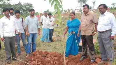 ಕಾಡು ನಾಶದಿಂದ ಓಝೋನ್ ಪದರ ಹಾಳು