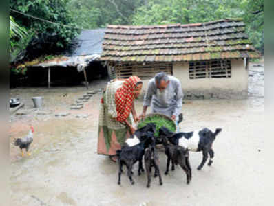 এক পুজো থেকে অন্য পুজোয় অনন্য সাকিনা