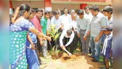 ಮಗುವಿಗೊಂದು ಮರ, ಶಾಲೆಗೊಂದು ವನ