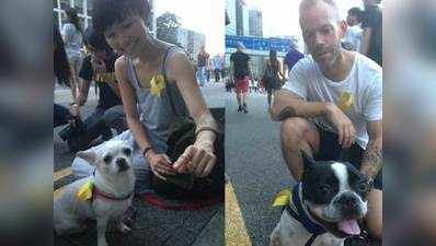 हॉन्ग कॉन्ग: कुत्ते लेकर पहुंचे प्रदर्शनकारी