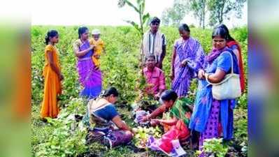 ಸೀಗೆ ಹುಣ್ಣಿಮೆ ಸಂಭ್ರಮ; ಬೆಳೆದ ಫಸಲಿಗೆ ಸೀರೆ, ಕುಪ್ಪುಸ ಅರ್ಪಣೆ