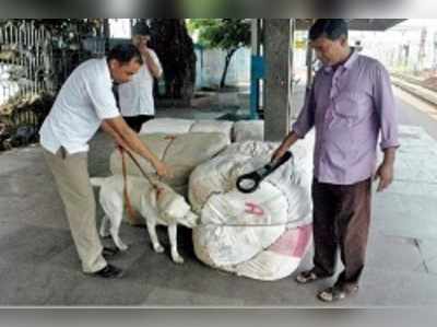 বর্ধমান স্টেশনই জঙ্গিদের প্রধান করিডর, আটক ১