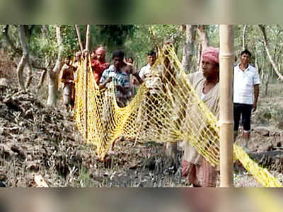 বাঘিনি ধরতে নাকাল বনকর্মীরা