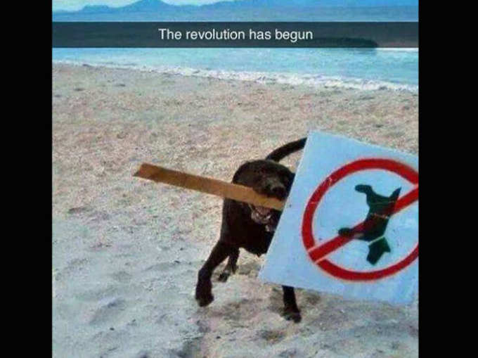 क्रांति