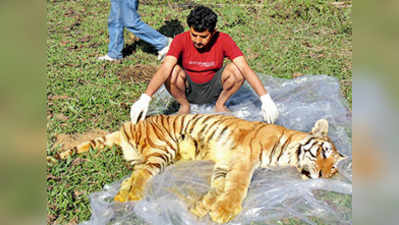 থাবায় মৃত্যু যমুনার, বয়স কাড়ল উর্বশী-সীতাকে