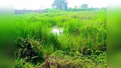 ಅತ್ತ ಫಲವತ್ತಾದ ಜಮೀನು ಜವುಳು, ಇತ್ತ ಬೆಳೆ ಹಾಳು