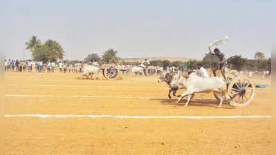 ಮನರಂಜನೆಗಾಗಿ ಚಕ್ಕಡಿ ಗಾಡಿ ಓಟದ ಸ್ಪರ್ಧೆ