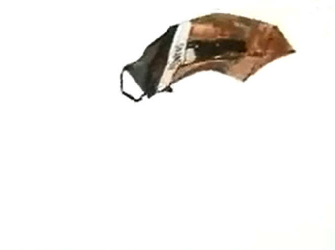 शमिताभ के लिए अमिताभ ने उड़ाई पतंग