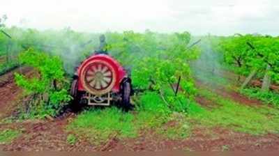 ದ್ರಾಕ್ಷಿ ಬೆಳೆಗಾರನ ಕೈಹಿಡಿಯದ ಸರಕಾರ