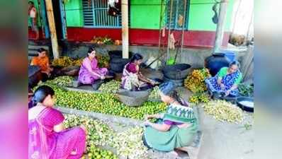 ಅಡಕೆ ಸುಲಿಯಲು ಮುರಿಯಾಳು ಉಪಾಯ