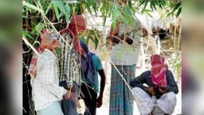 জোয়ানদের কাজ নেই, গ্রামে এখন সন্ত্রাসই অর্থনীতি