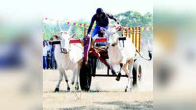 ಗ್ರಾಮೀಣ ಕ್ರೀಡಾ ಅಕಾಡೆಮಿ ತೆರೆಯಲು ಆಗ್ರಹ