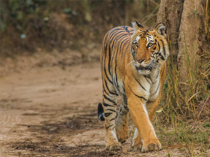 इस वीकेंड घूमने के लिए यहां जाएं