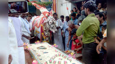 ಮಂಟೇಸ್ವಾಮಿ ಬಸವನಿಗೆ 18ರ ಹುಟ್ಟುಹಬ್ಬ