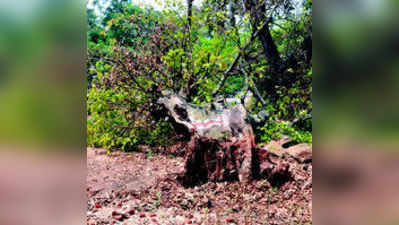 ಮಳೆ: ವಿದ್ಯುತ್ತಿಲ್ಲದೆ ಸ್ತಬ್ಧಗೊಂಡ ಹಳ್ಳಿಗಳು