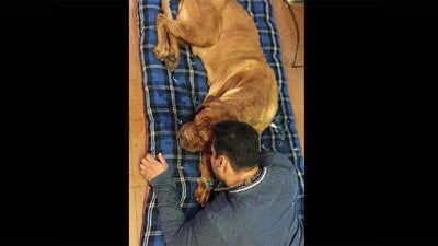 कुत्ते की मौत से सलमान गमगीन, शेयर कीं तस्वीरें
