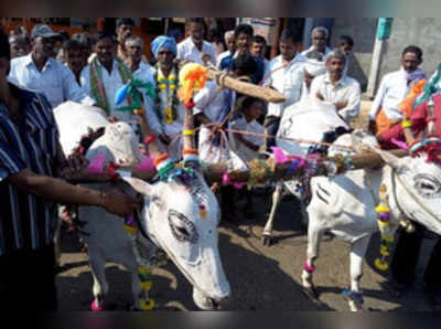 ತೊರೆನೂರಿನಲ್ಲಿ ‘ಹೊನ್ನಾರು’ ಉತ್ಸವ