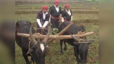 ಹೊನ್ನಾರು ಕಟ್ಟಿ, ಉಳುಮೆ ಮಾಡಿದರು...