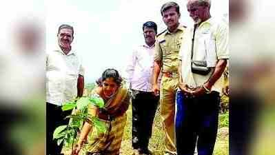 ಮನೆಗೊಂದು ಮರ ಬೆಳೆಸಿ: ಕಿವಿಮಾತು