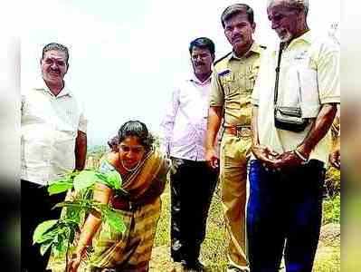 ಮನೆಗೊಂದು ಮರ ಬೆಳೆಸಿ: ಕಿವಿಮಾತು