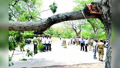 ಮರದ ಕೊಂಬೆ ಬಿದ್ದು ಇಬ್ಬರು ಪೊಲೀಸರಿಗೆ ಗಾಯ