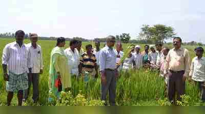 ತಾಲೂಕಿಗೆ ಕೃಷಿ ತಜ್ಞರ ತಂಡ ಭೇಟಿ: ಪರಿಶೀಲನೆ