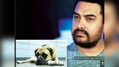 आमिर ने दी कुत्ते को अपनी आवाज!