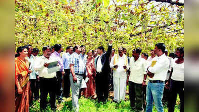 ಎರಡು ತಿಂಗಳ ಬಳಿಕ ಬೆಳೆ ಹಾನಿ ಪರಿಶೀಲನೆ