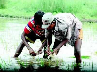 ಶ್ರೇಷ್ಠ ಕೃಷಿಕ ಪ್ರಶಸ್ತಿಗೆ ಅರ್ಜಿ ಆಹ್ವಾನ