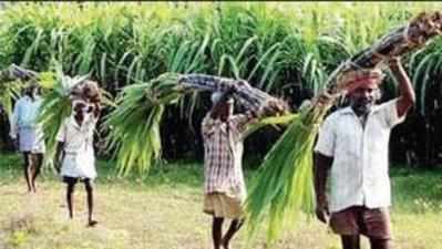 ಸುವರ್ಣ ವಿಧಾನ ಸೌಧ ಎದುರು ಧರಣಿ