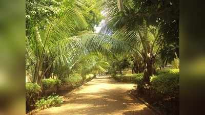 ಹಸಿರೀಕರಣಗೊಂಡ ಅಭಿಯಂತರ ಕಚೇರಿ