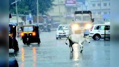 ಕರಾವಳಿಯಲ್ಲಿ 3 ದಿನ ಭಾರಿ ಮಳೆ; ಮಹಾ ಮಳೆಗೆ ಬೆಚ್ಚಿದ ಮುಂಬಯಿ