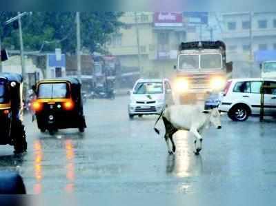 ಕರಾವಳಿಯಲ್ಲಿ 3 ದಿನ ಭಾರಿ ಮಳೆ; ಮಹಾ ಮಳೆಗೆ ಬೆಚ್ಚಿದ ಮುಂಬಯಿ