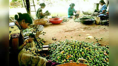 ಕಾಫಿ, ಅಡಕೆ: ಬೆಲೆ ಏರಿಕೆಯ ನಿರೀಕ್ಷೆ