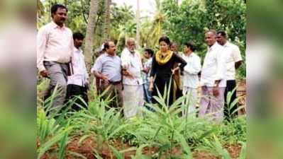 ಕೃಷಿ ತಾಕುಗಳಲ್ಲಿ ಸುತ್ತಾಡಿದ ಜಿಪಂ ಸಿಇಒ