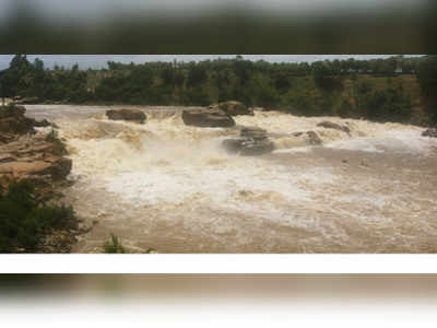 ಧನುಷ್ಕೋಟಿಯಲ್ಲಿ ಕಾವೇರಿ ಭೋರ್ಗರೆತ